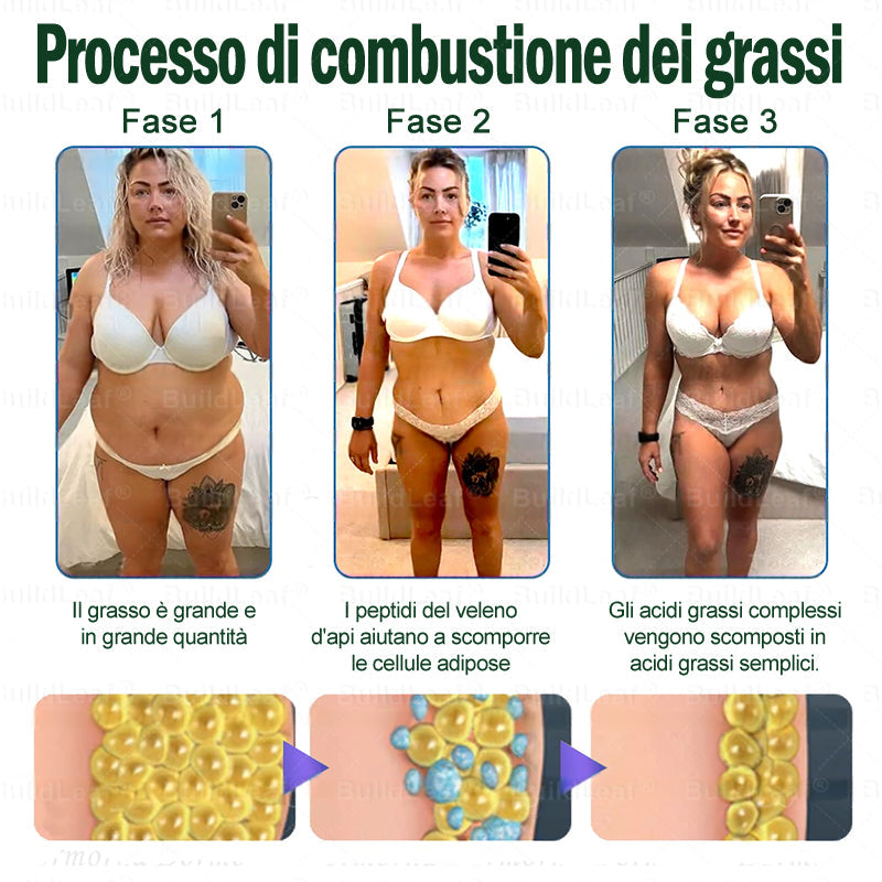 ššBuildLeafĀ® Only 5 boxes left! We're offering you an additional 30% discount! Get yourself in shape and healthy. Miss out now, and you won't have another chance until next year.